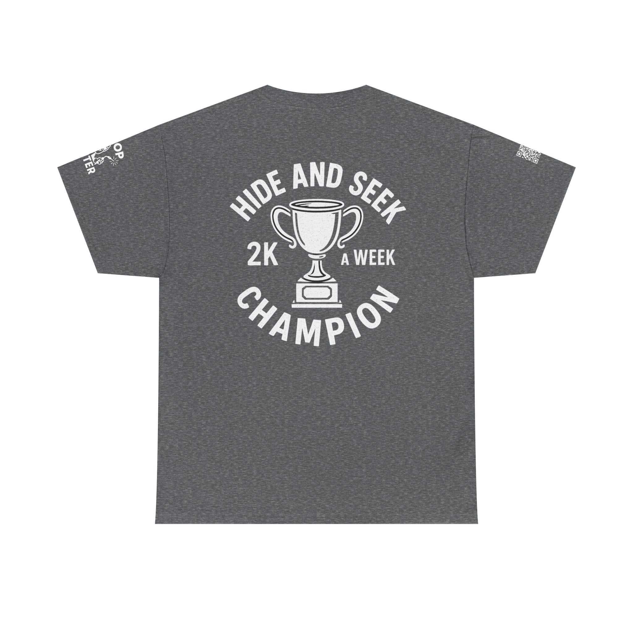 Hide & Seek Champion
