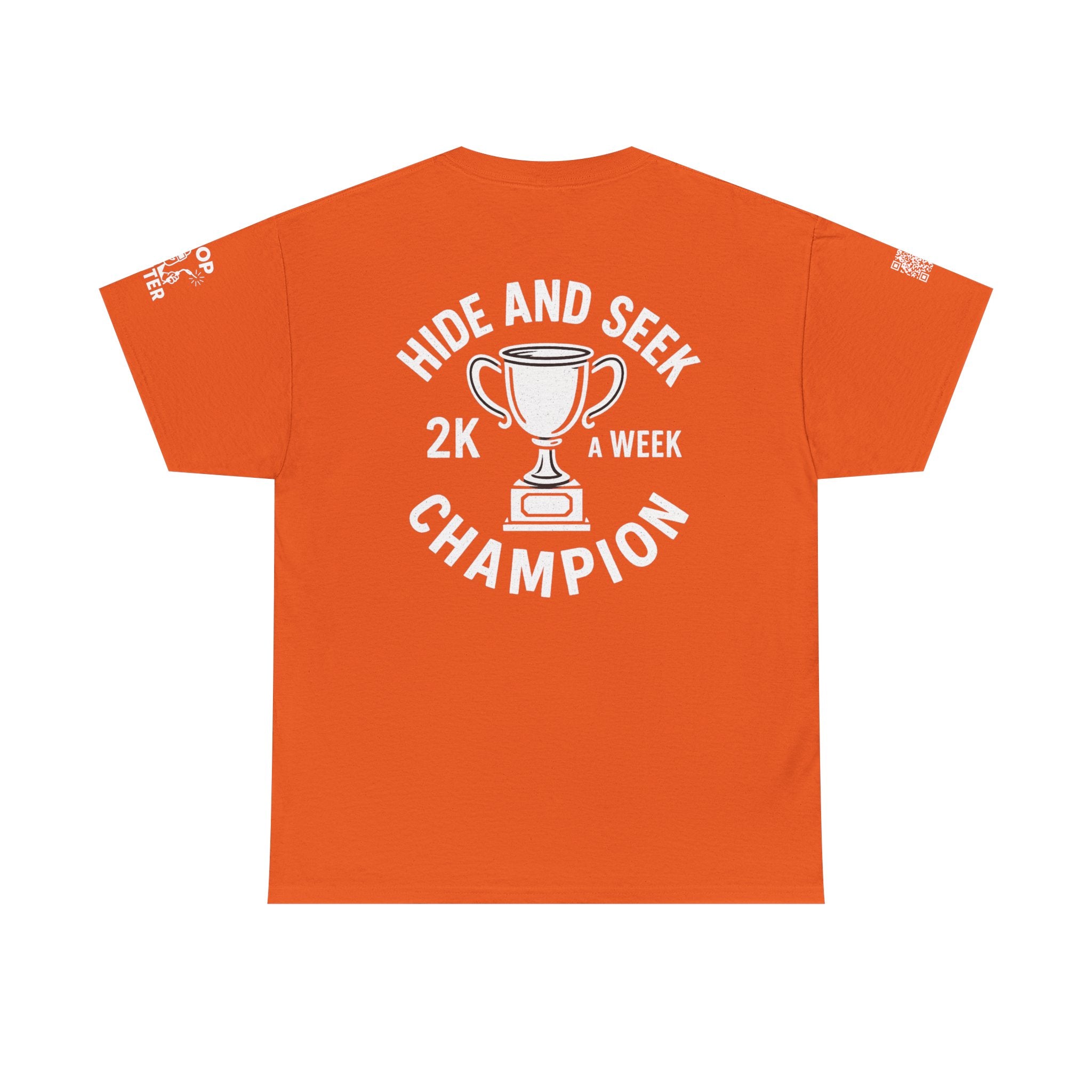 Hide & Seek Champion